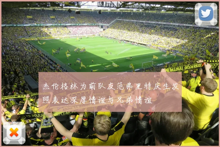 杰伦格林为前队友范弗里特庆生发照表达深厚情谊与兄弟情谊