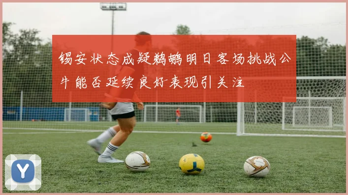 锡安状态成疑鹈鹕明日客场挑战公牛能否延续良好表现引关注