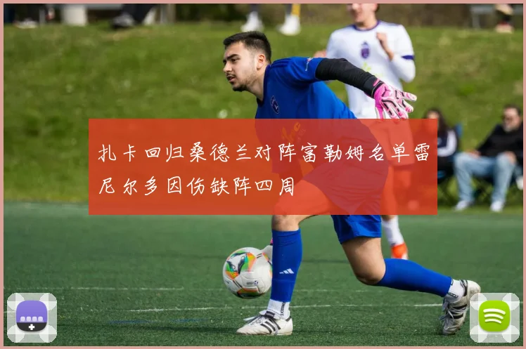 扎卡回归桑德兰对阵富勒姆名单雷尼尔多因伤缺阵四周