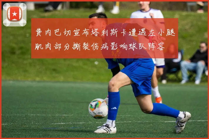 费内巴切宣布塔利斯卡遭遇左小腿肌肉部分撕裂伤病影响球队阵容